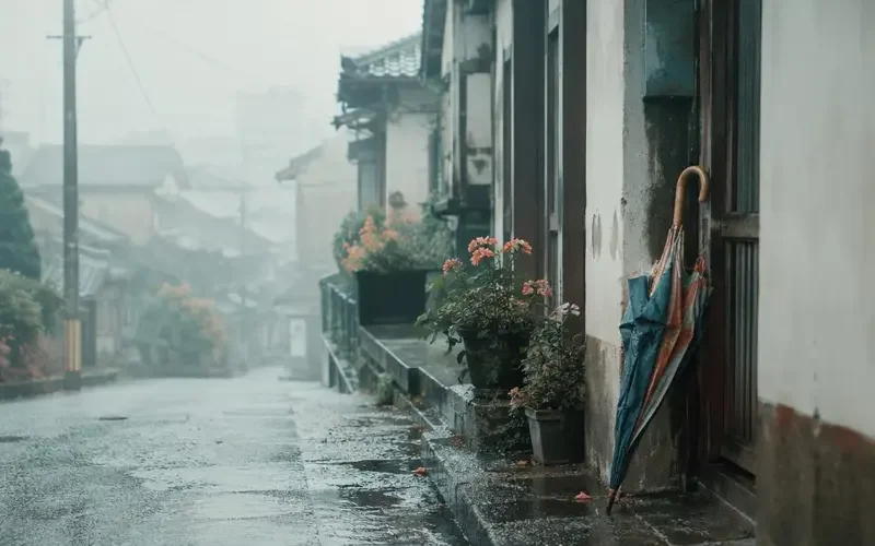 《妈妈的旧雨伞》口碑炸裂：一次迟到很多年的和解 - 漫剧片子资讯配图